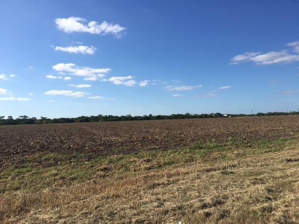 Interstate 69E Development Land: Interstate 69E - Frontage, Raymondville, TX 78580